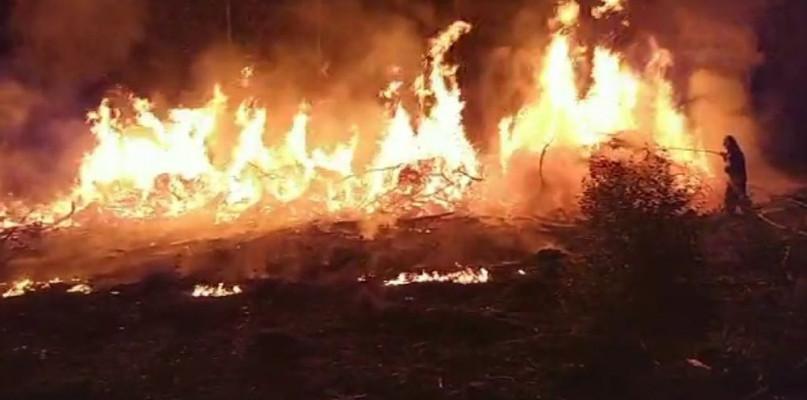 Nocny pożar w Żochach gasiło 5 zastępów straży