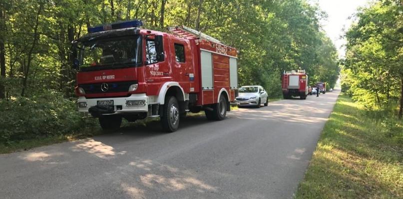 Staruszek poszedł na grzyby, szukali go strażacy z policjantami
