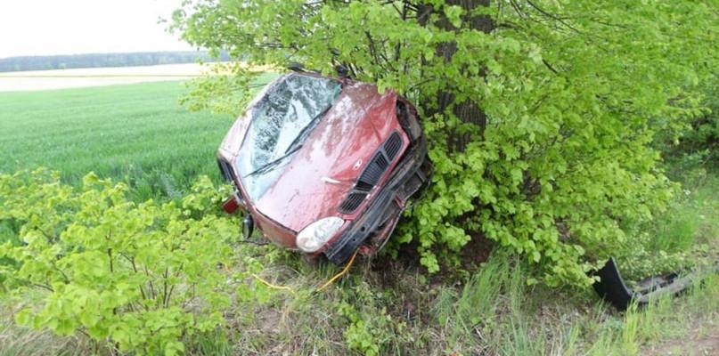Kierowca lanosa rozbił samochód na drzewie
