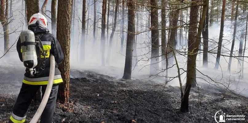 Strażacy nie mają długiego weekendu, dramatyczna sytuacja w gminie Kosów