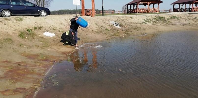 Jest altana, ławki i oczyszczony staw, brakowało ryb