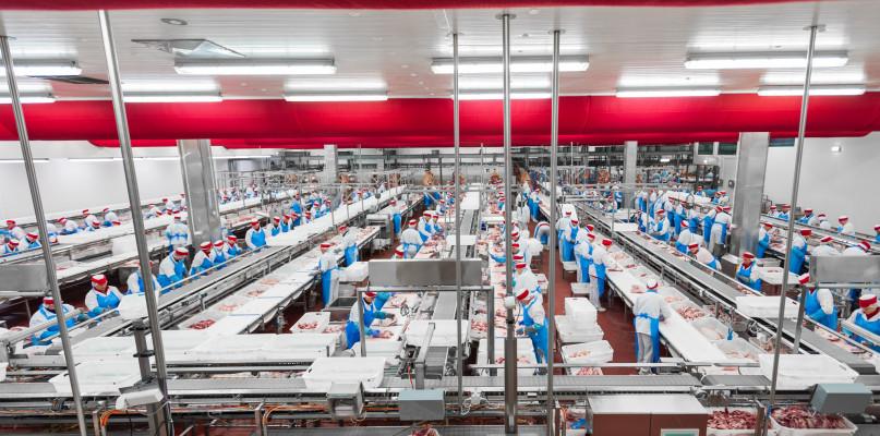 Sokołów S.A. w 2018 roku: większy zysk i 56 nowych produktów na rynku
