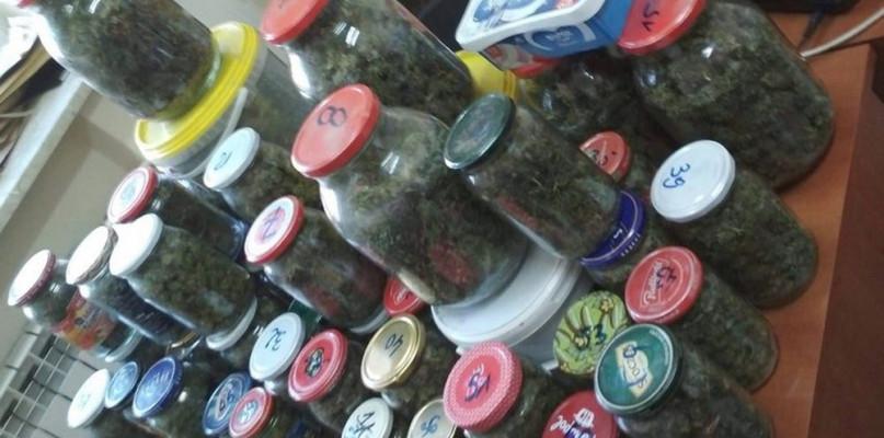 Policjanci przechwycili 12 kilogramów marihuany