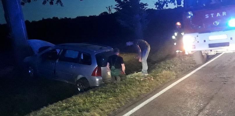 Nie wiadomo, dlaczego uderzył w drzewo