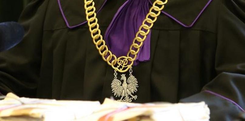 Sprawa kradzieży drzewa w Przywózkach ponownie na wokandzie