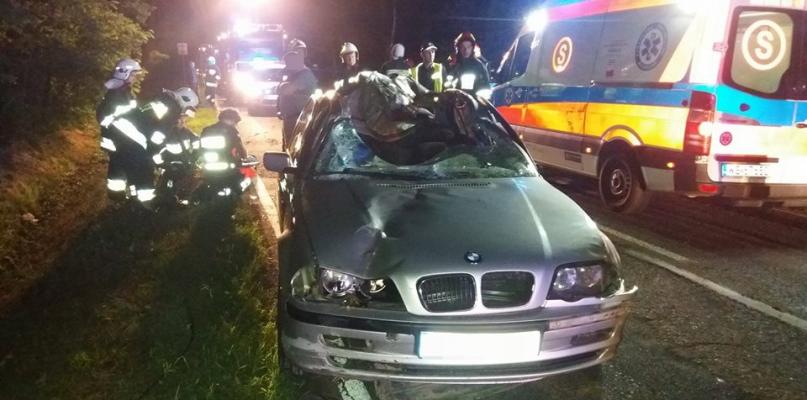Trzy osoby w szpitalu po zderzeniu BMW z łosiem