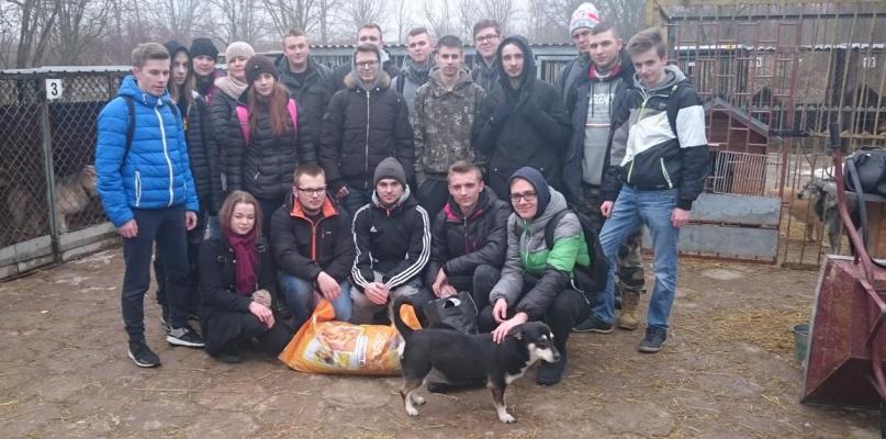 Zobaczyli konsekwencje nieodpowiedzialnego traktowania psów