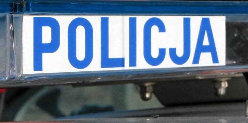 Zabił i zakopał psa, teraz grozi mu do 2 lat więzienia