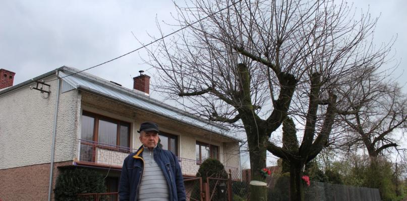 Czy wytną mu drzewa dopiero, jak dojdzie do nieszczęścia?