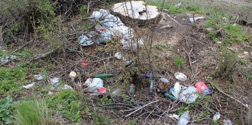 Takie widoki nie tylko w lesie pod Ząbkowem…
