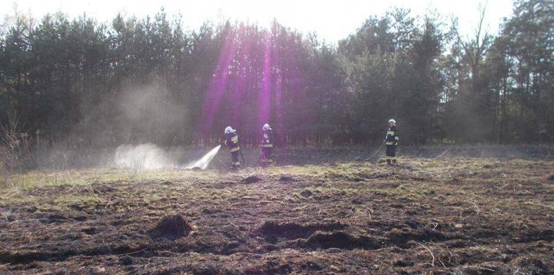 Dwa pożary w okolicach Sterdyni. Zawinił podpalacz?