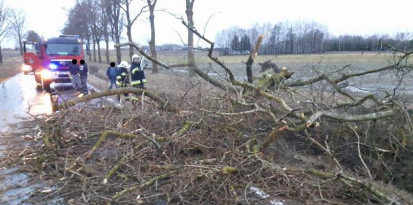 Burza i wichura nad powiatem przysporzyły pracy strazakom