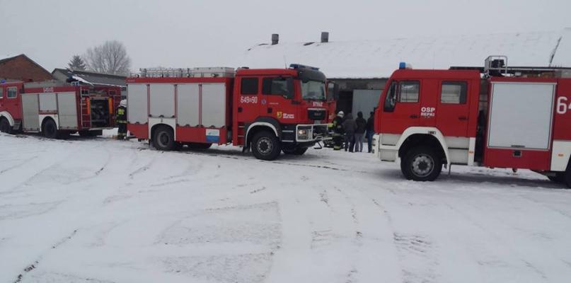 W pożarze chlewni w Brodaczach ucierpiało ponad 120 świń