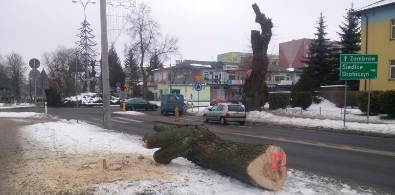 Sokołowska masakra piłą mechaniczną...