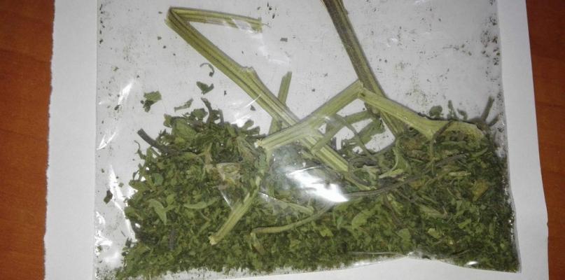 Sokołowianka wpadła z „maryśką” podczas rutynowej kontroli