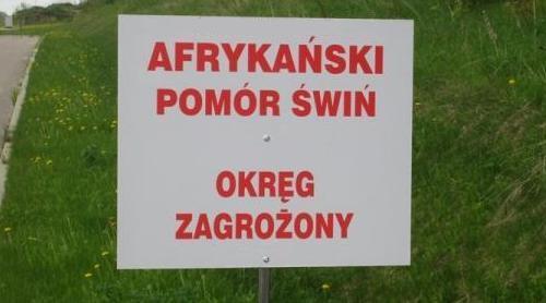 Powiat sokołowski obszarem zagrożonym ASF