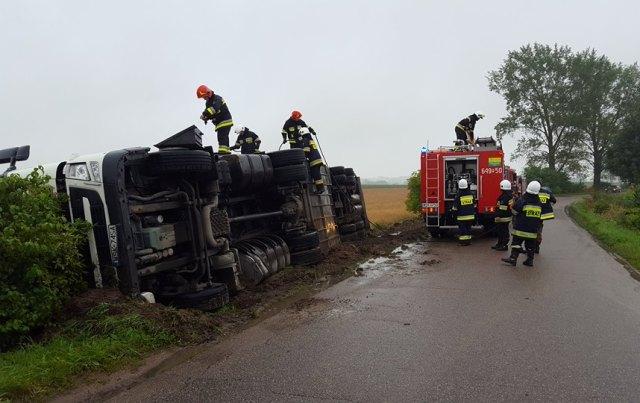 Kierowca ranny, zginęło 17 świń