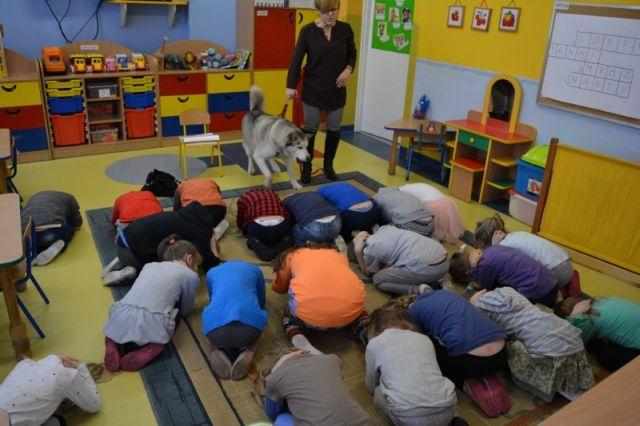 Zajęcia z Melą w Leśnej Krainie