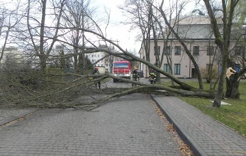 Najwięcej interwencji przez wichury