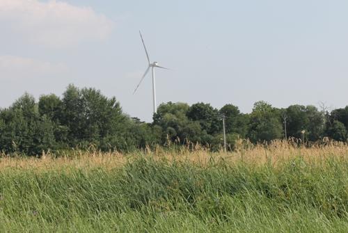 W Grodzisku nie chcą wiatraka