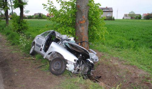 Citroenem w drzewo