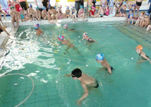 Basen: VII Szkolne Igrzyska Dzieci Szkół Podstawowych