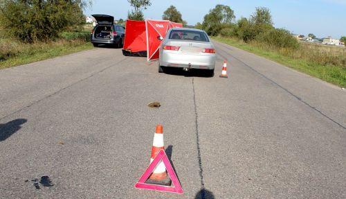 Rowerzysta zginął pod kołami hondy