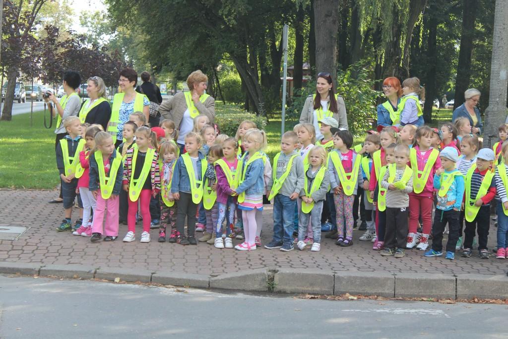 Lekcja bezpieczeństwa na skrzyżowaniu