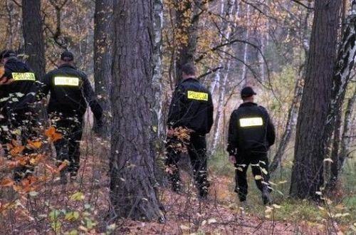 Zbieranie grzybów? Pamiętajmy, by zadbać o swoje bezpieczeństwo?