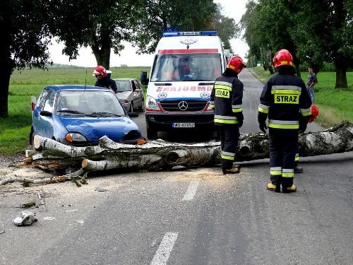 Drzewo spadło przed samochód