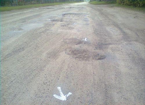 Schetynówka dla powiatu sokołowskiego