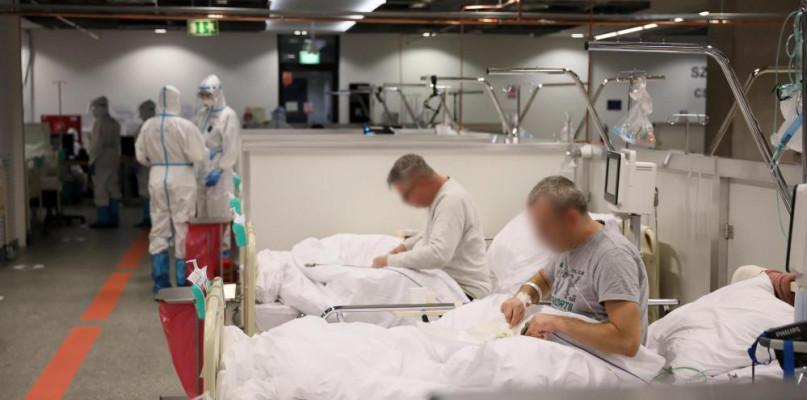 Małpia ospa budzi strach. Minister zdrowia reaguje i wprowadza...