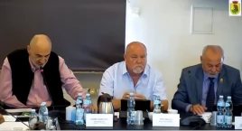 Radni i burmistrz o petycjach stowarzyszenia UNITUM, problemie koszenia trawników i brutalnym cięciu drzew...