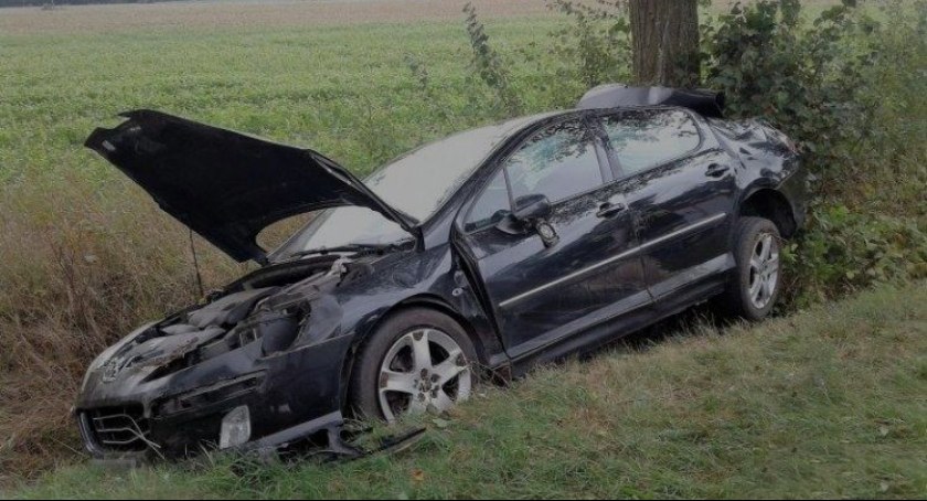 Tydzień na drogach powiatu węgrowskiego: sarny, kolizje i pijany uciekinier