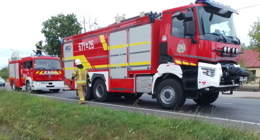 Łoś i nieuwaga kierowców powodem interwencji policji