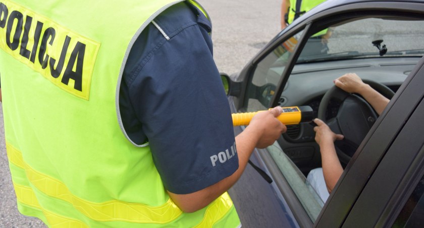 Tydzień na drogach w powiecie: pijani za kółkiem, łoś i sarna pod kołami