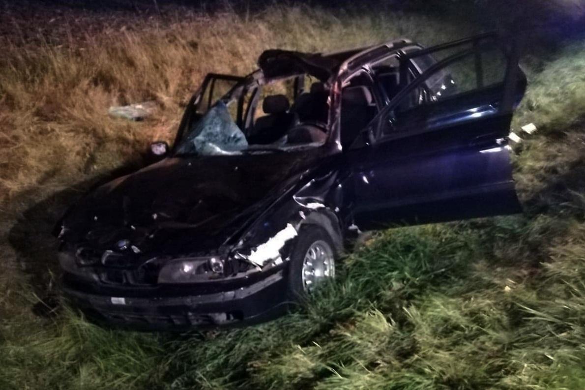 Znowu zwierzę pod kołami samochodu. Tym razem na trasie Mrągowo - Kętrzyn