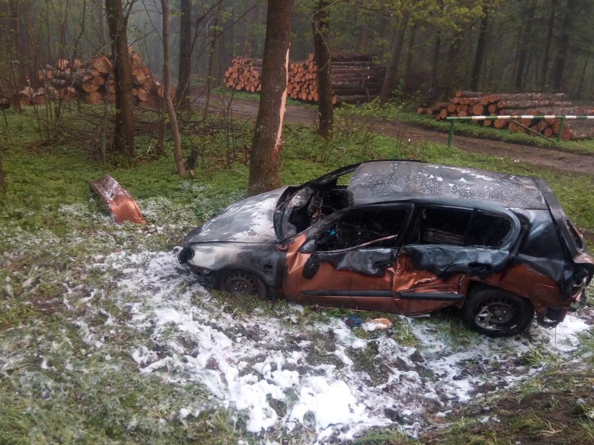 Auto po uderzeniu w drzewo stanęło w płomieniach. Kierowca trafił do szpitala