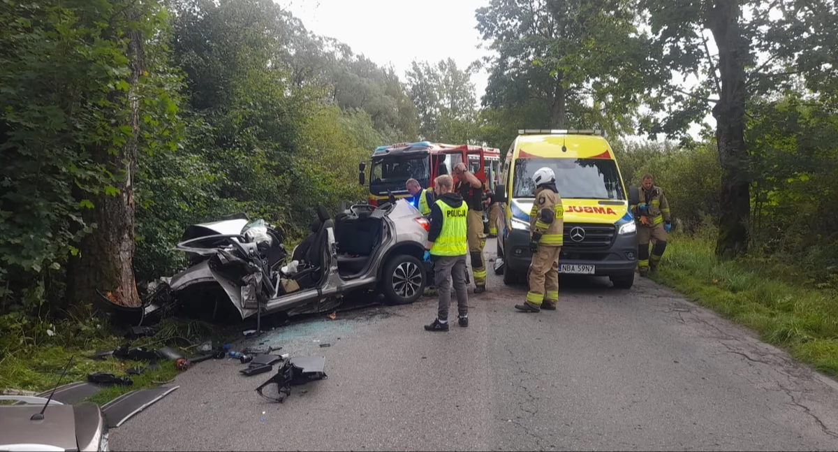 Tragiczny wypadek na trasie Górowo Iławeckie – Kamińsk. Policja szuka świadków zdarzenia