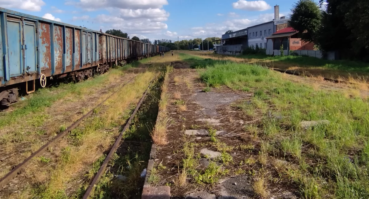 Kolej wraca na północ? Bartoszyce i Lidzbark Warmiński łączą siły w walce o linię kolejową