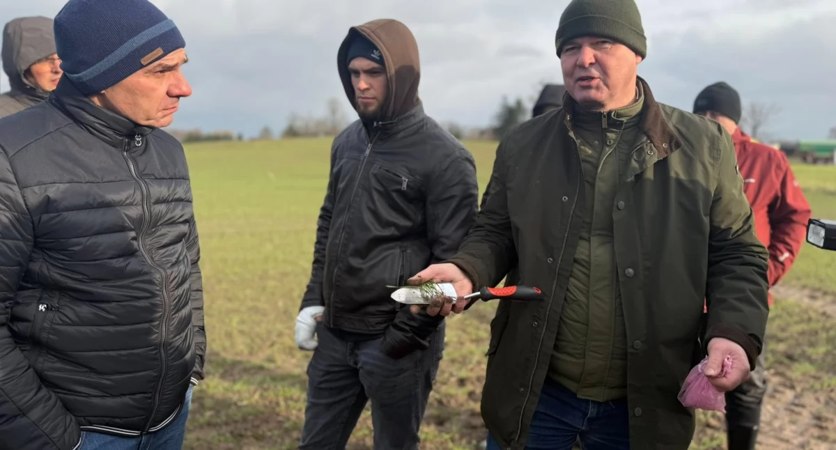 Lokalne doświadczenia technologii siewu punktowego Väderstad Proceed w Paluzach