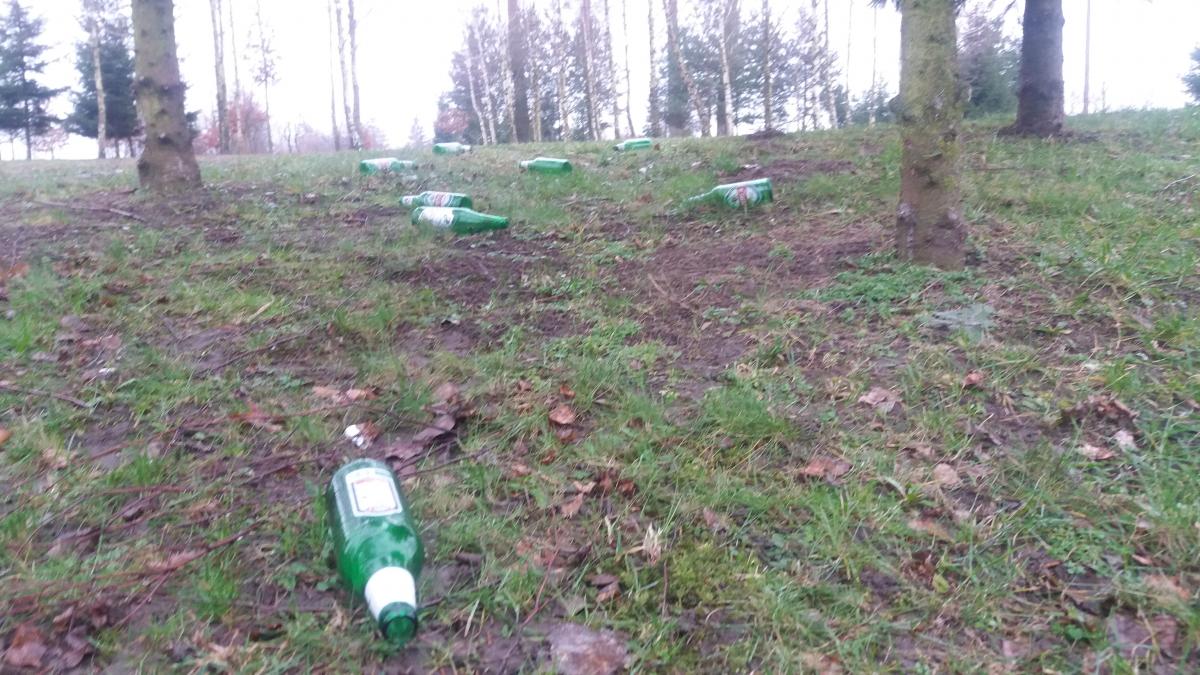 Ślady popijawy w parku przy Jeziorku Mleczarskim