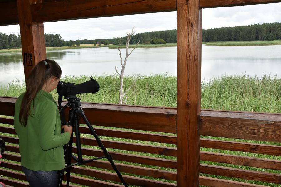 Ptaki wodne spotkane na edukacyjnej ścieżce nie mogły liczyć na intymność