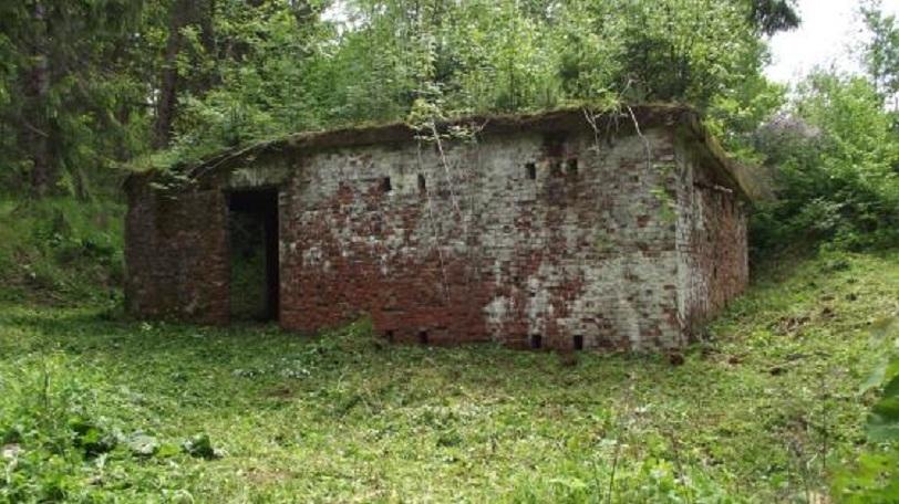 Tajemniczy budynek z czasów wojny odkryty w przygranicznych lasach