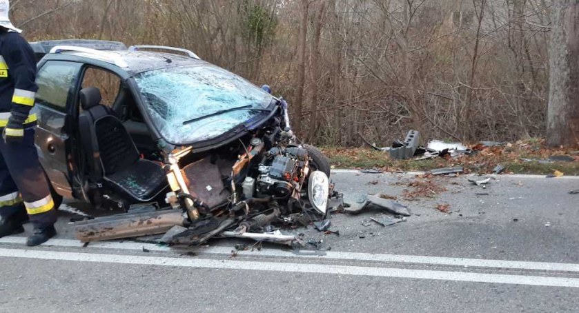 Górowo Iławeckie// Pękła opona i auto z impetem uderzyło w drzewo