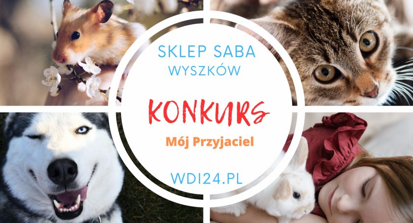 Konkurs MÓJ PRZYJACIEL. Pochwalcie się swoimi wspaniałymi zwierzakami