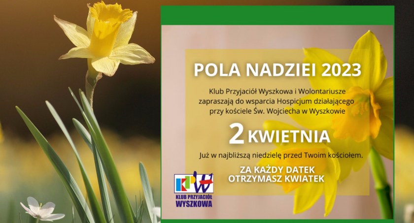 Pola Nadziei. Za każdy datek otrzymasz kwiatek