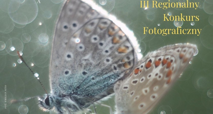 Leśne, Wodne i Łąkowe. III Regionalny Konkurs Fotograficzny 