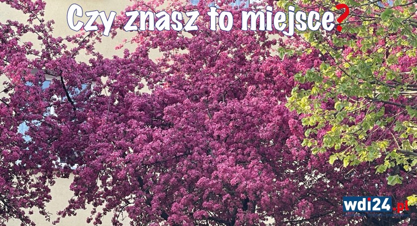 Konkurs - czy znasz to miejsce?