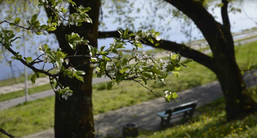 Pogoda na weekend: Sobota zapowiada się bez słońca 